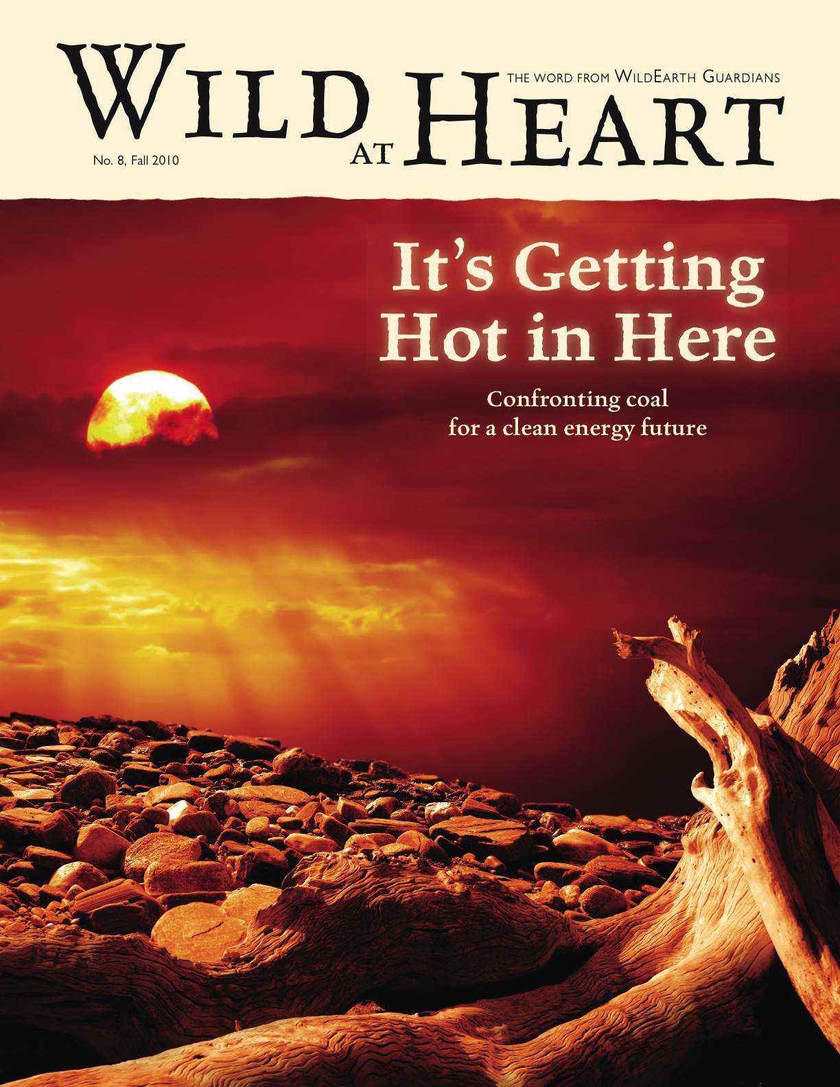 Wild at Heart 8 Newsletter cover