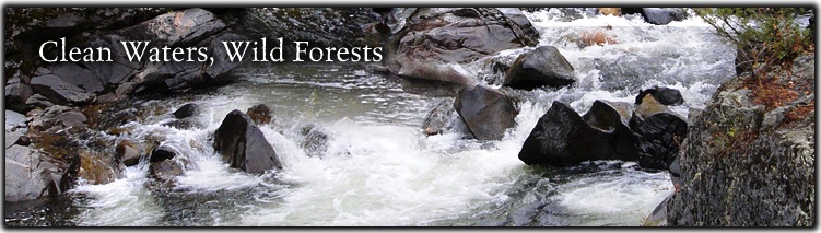 Clean Water, Wild Forest Banner