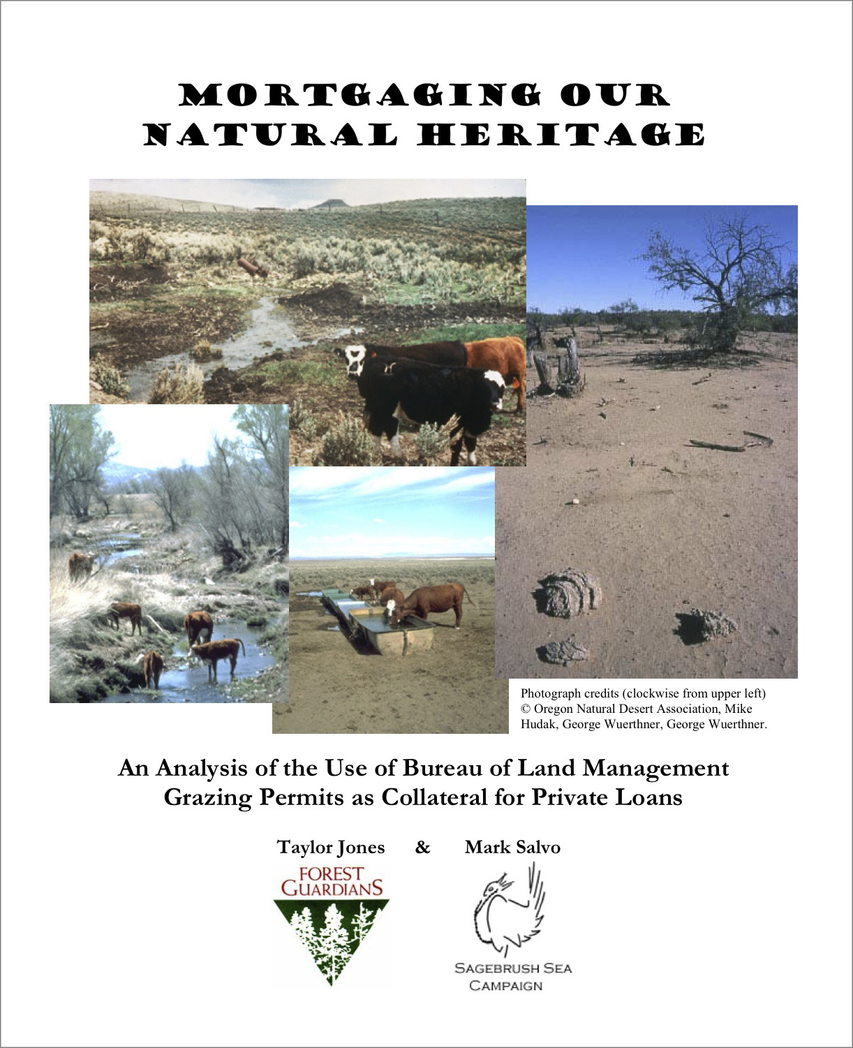Mortgaging Our National Heritage Report Cover