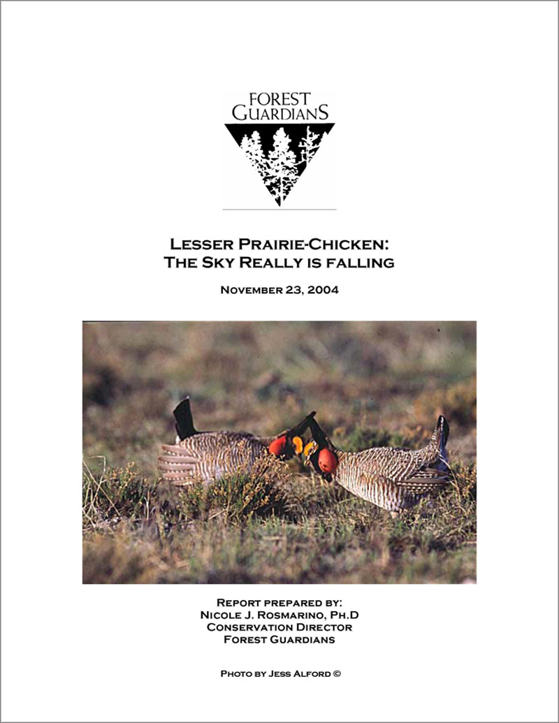 Lesser Prairie Chicken The Sky Really is Falling Report