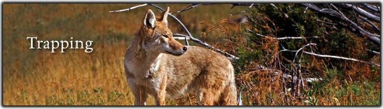 War on Wildlife Trapping Banner