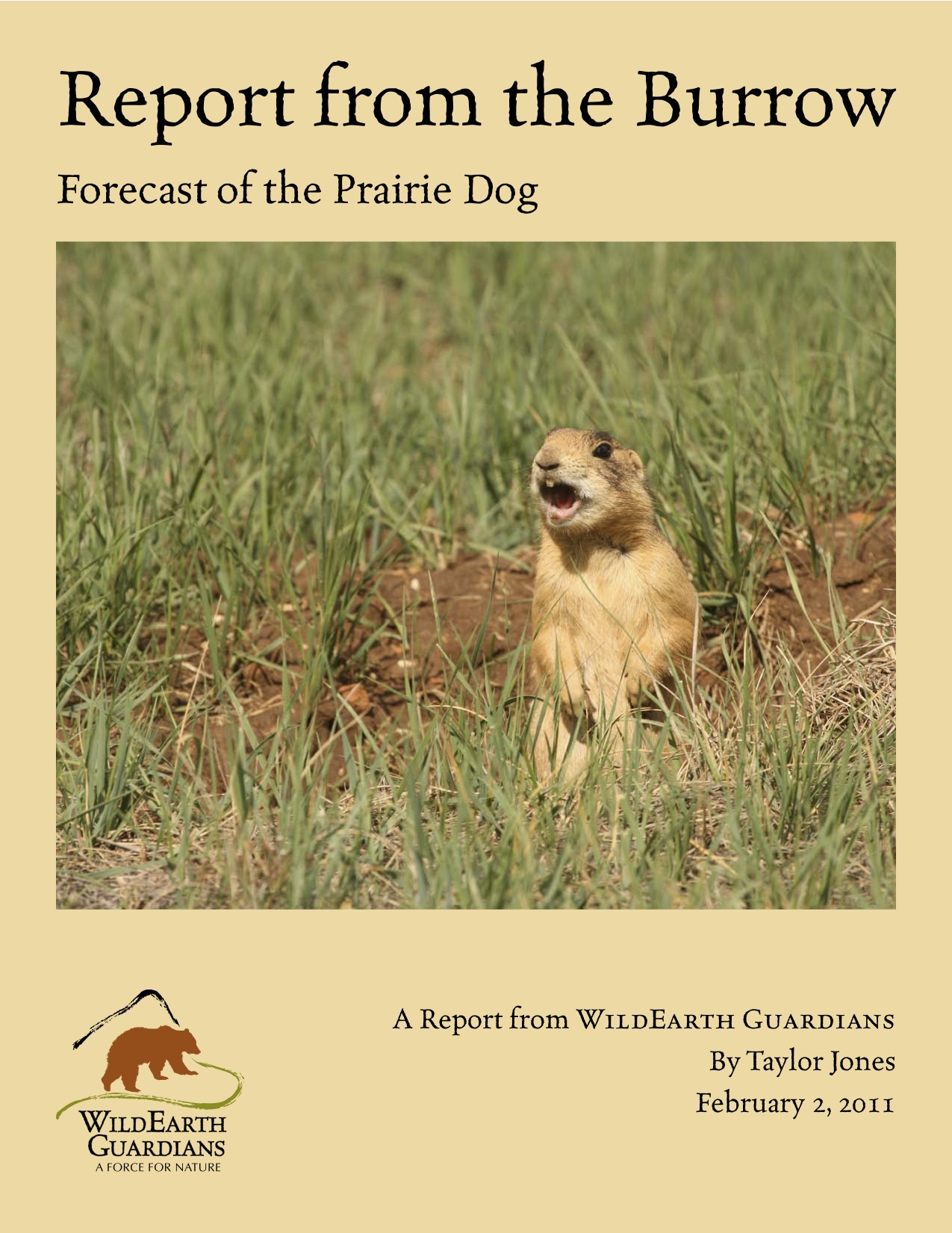 Report from the Burrow 2011