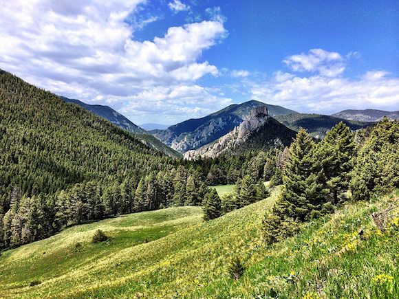 Beaver Creek Road View near Hogback Lookout, Helena National