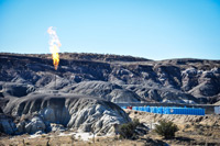nm blm alert photo 2
