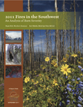 2011 Fire Severity Report Final Image