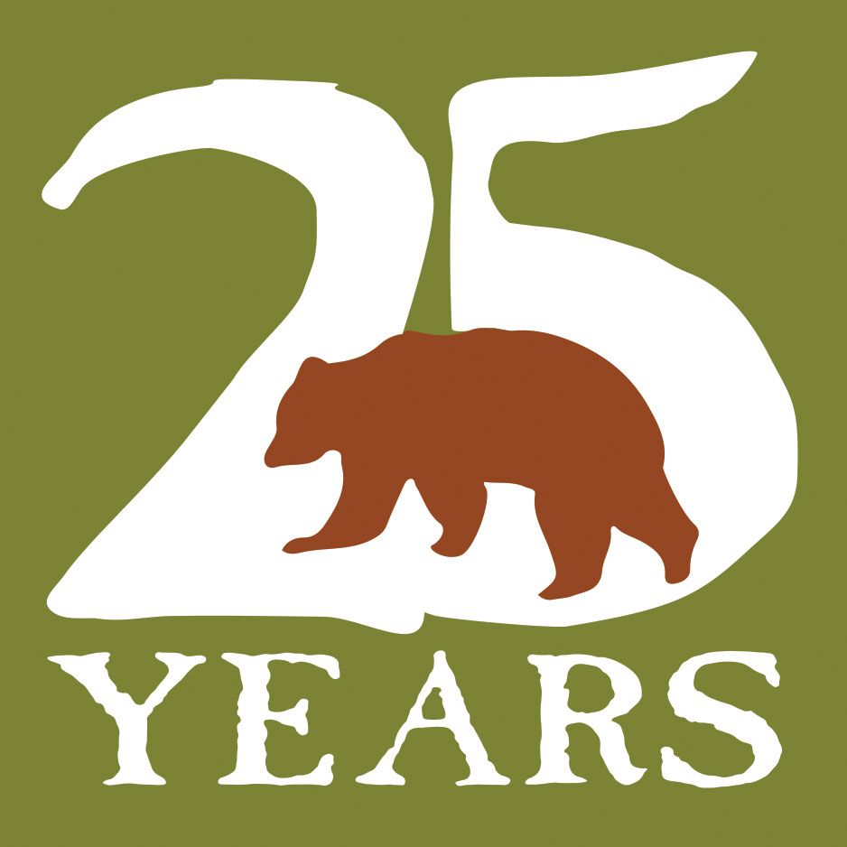 25th Anniversary Logo no name no tag