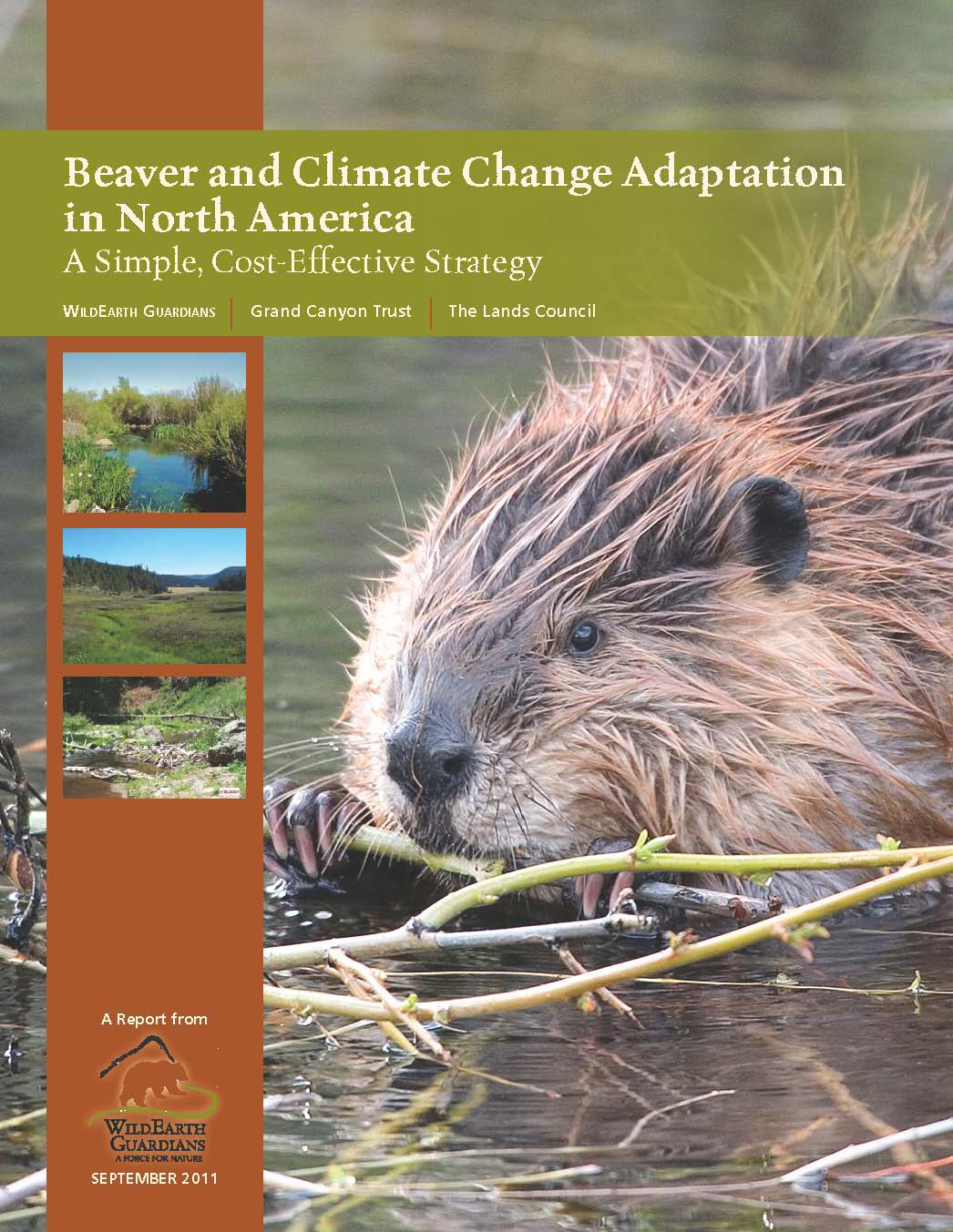 Beaver and Climate Change Report Cover Image