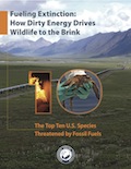 Fueling Extinction Report Cover