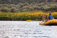 colorado river rafting