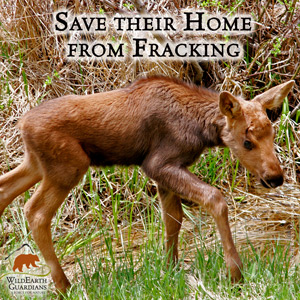 Save their home from fracking