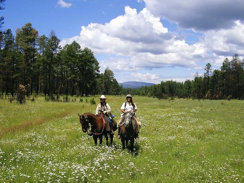 Joe Saenz WolfHorse Outfitters