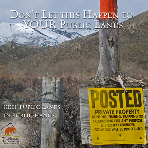 Don't let this happen to YOUR public lands. pc WildEarth Gua