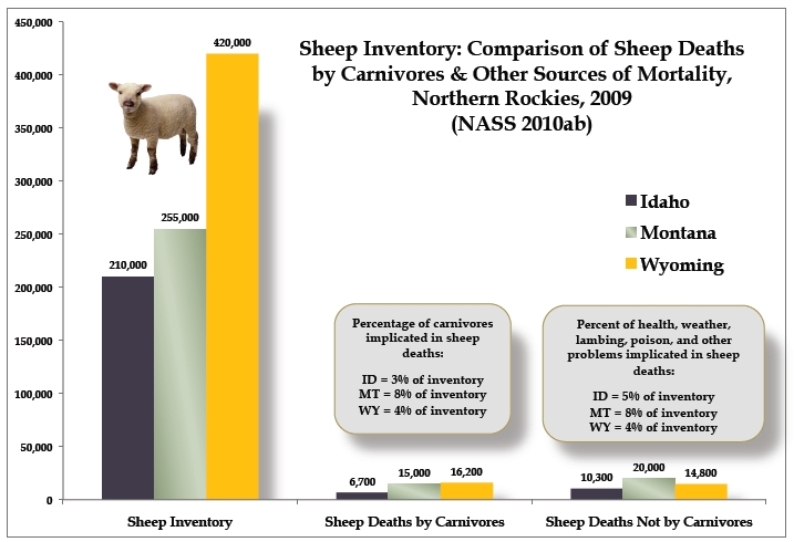 Sheep chart northern Rockies