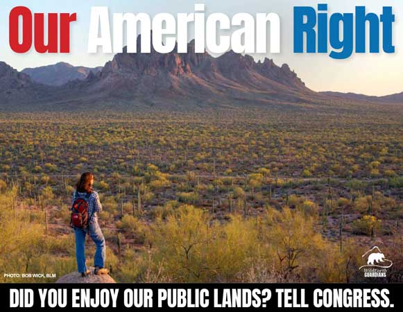 Our-American-Right_WildEarth-Guardians-meme-a