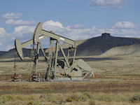 red desert oil and gas pc WildEarth Guardians