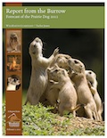 Report from the Burrow 2012