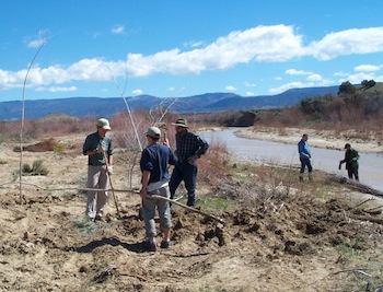 Rio Puerco River Before 2004
