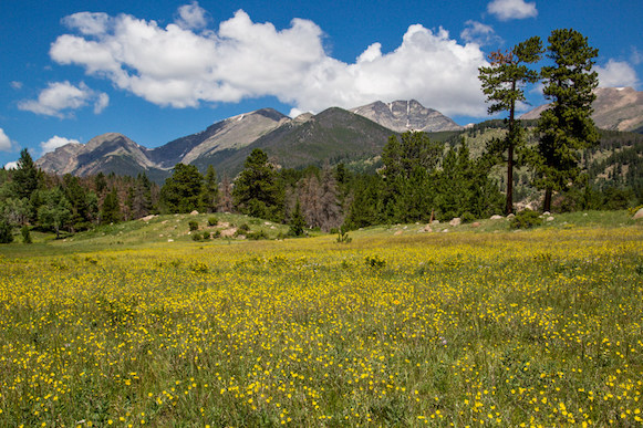 RMNP pc Jim Westhill NPS