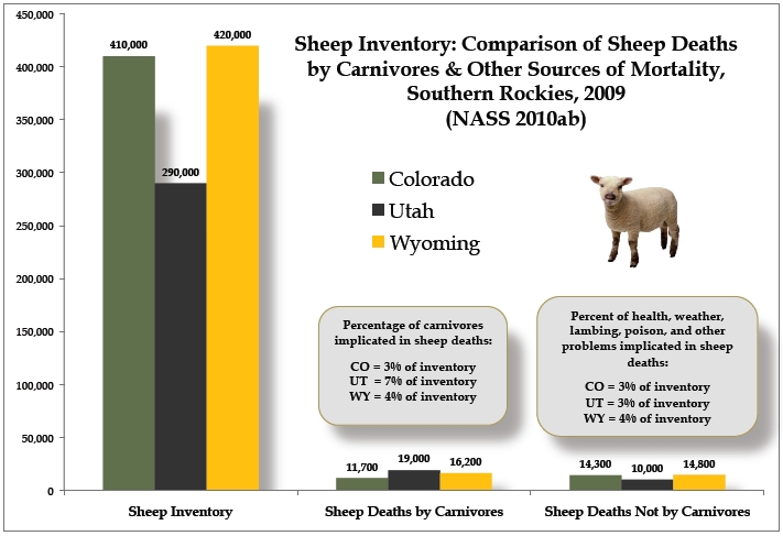 Sheep chart southern Rockies