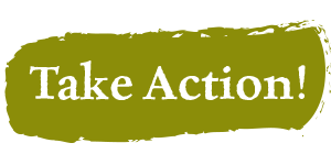 Take Action New Button