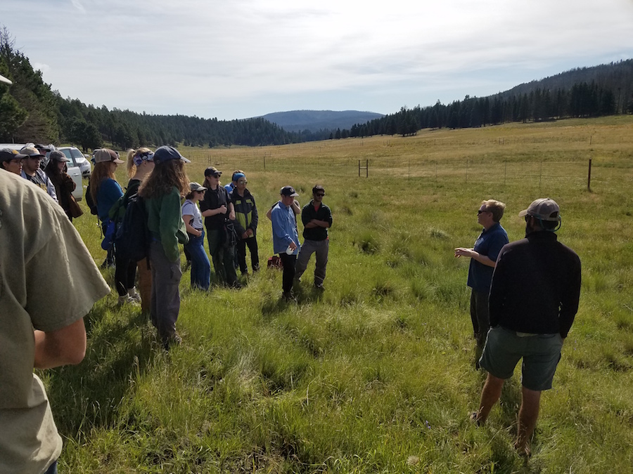 Valles Caldera work crew 2016 pc WG