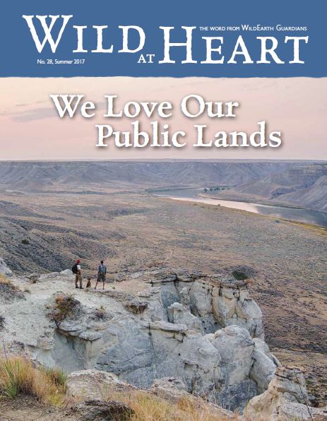 Wild at Heart #28 cover