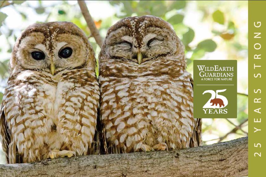 Annual report 2013 cover image