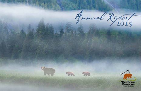 Annual Report 2015 Cover