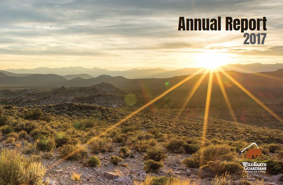 WG Annual Report 2017