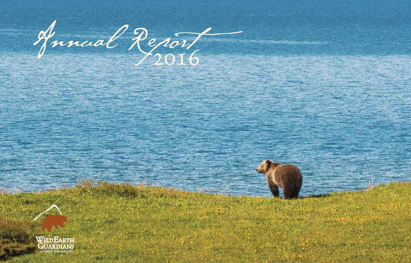 Annual Report 2016 Cover
