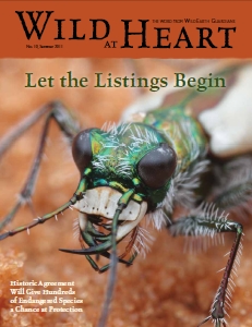 WG 10 summer cover August 17, 2011
