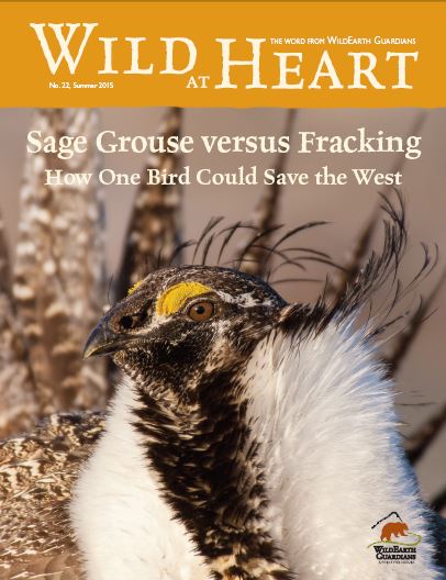 Wild at Heart 221 cover image