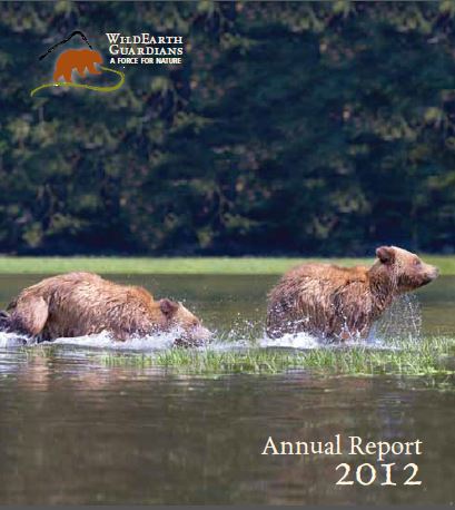 annual report 2012 cover