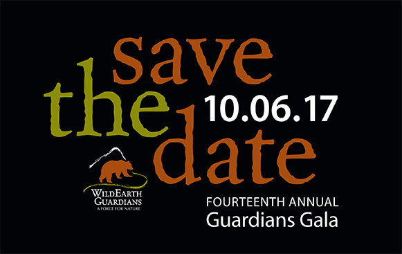 Save the Date Fourteenth Annual Guardians Gala 10.06.17