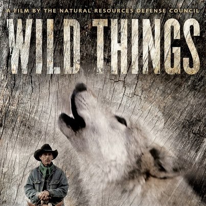 Wild Things Film
