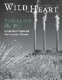 Wild at Heart 13 cover