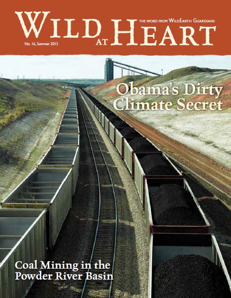 Wild at Heart #16 cover