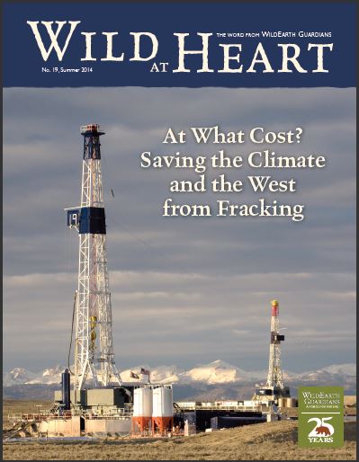 Wild at Heart #19 cover