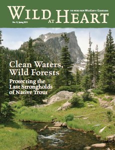 Wild at Heart #15 cover