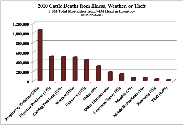 Cattle losses by health
