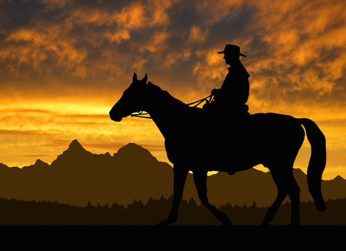 cowboy at sunset pc Dollarphotoclub.com