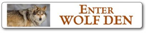 enter-wd.jpg