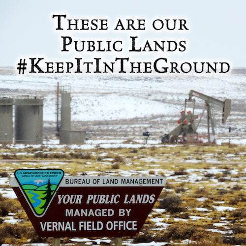 Keep it in the Ground Meme pc WildEarth Guardians
