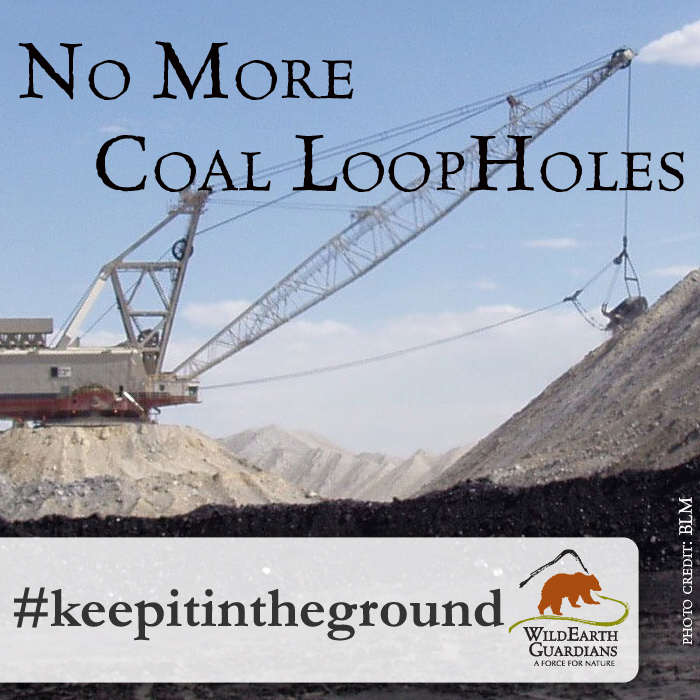 No More Coal Loopholes Meme