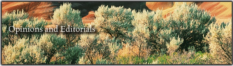 Opinions and Editorials Banner