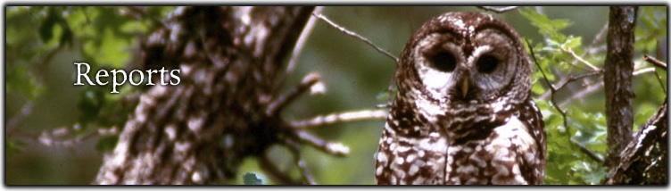 Reports Banner