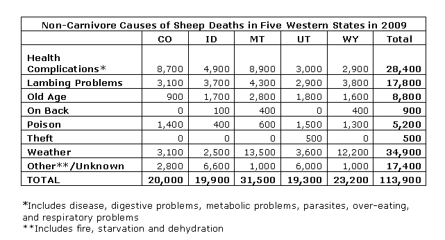 non-carnivore causes of sheep death 2009