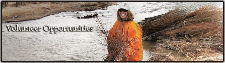 Volunteer Opportunities Banner pc Angelisa Espinoza