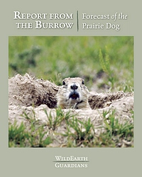 Report from the Burrow - Forecast of the Prairie Dog